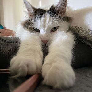 Meet your Posher, Jayden